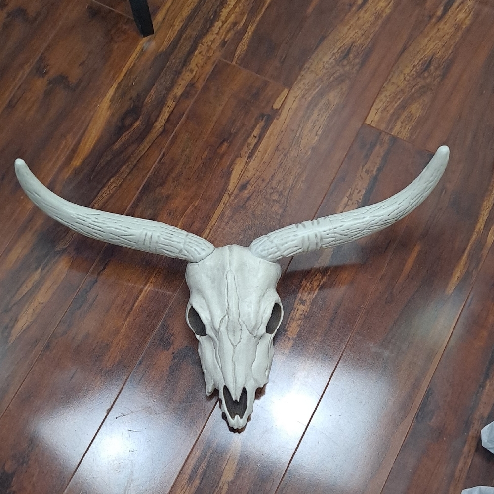 Crazy Bonez Plastic Decorative Longhorn Skull Wall Accent in Off-White Spooky